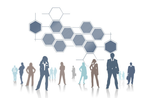 team-lemonsoft-chi-siamo
